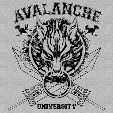 Avalanche University