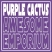 PurpleCactus