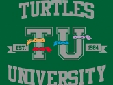 Turtles University