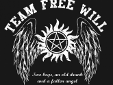 Team Free Will