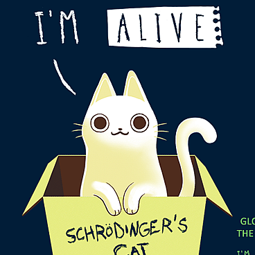 Schrodinger's Night