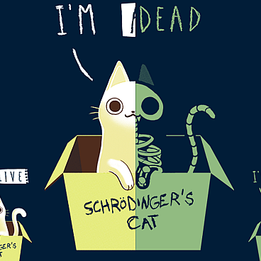 Schrodinger's Night