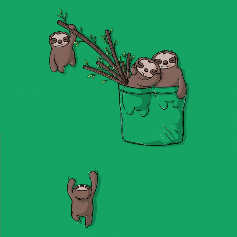 Pocket Sloth Family