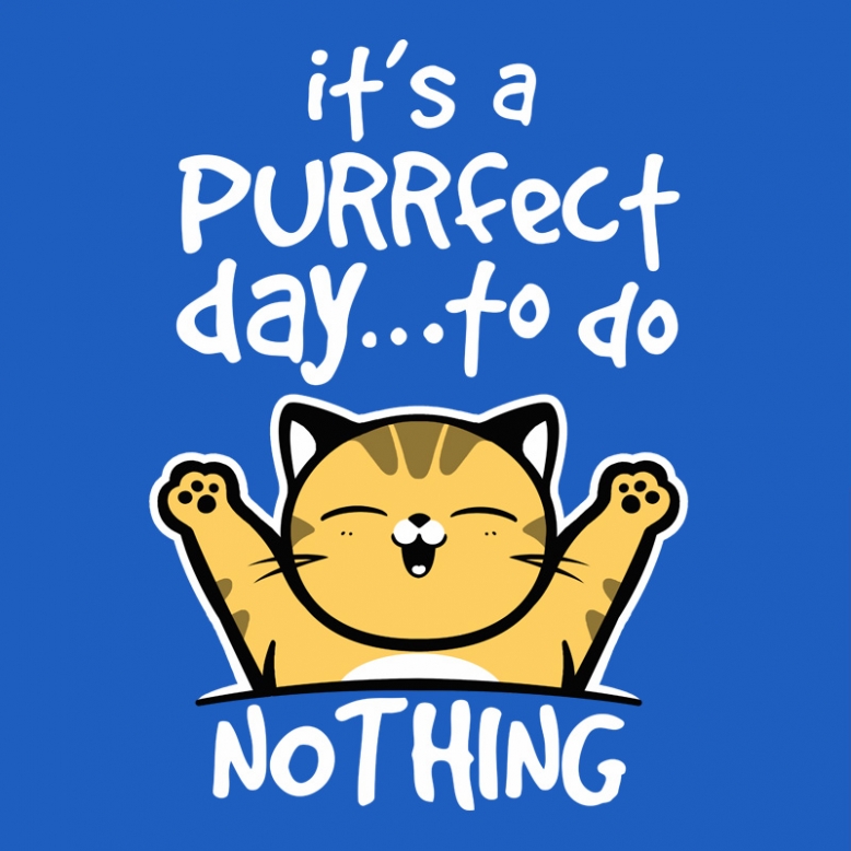 Purrfect day