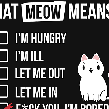 Meow Meaning