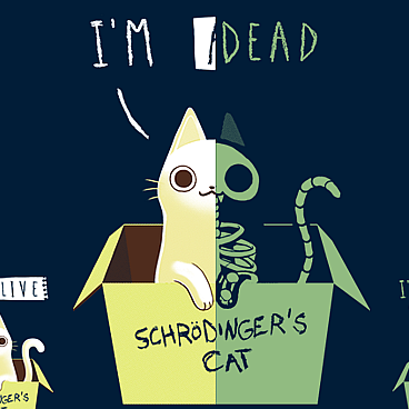 Schrodinger's Night