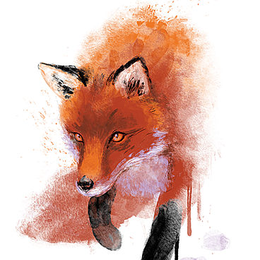 Fox Ink