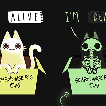 Schrodinger's Night