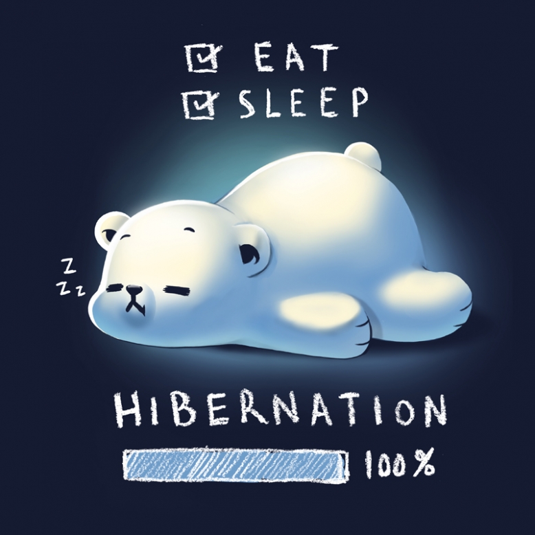 Hibernation