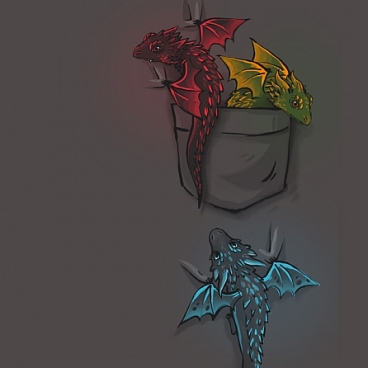 Pocket of Dragons!