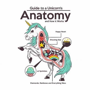 Anatomy of a Unicorn