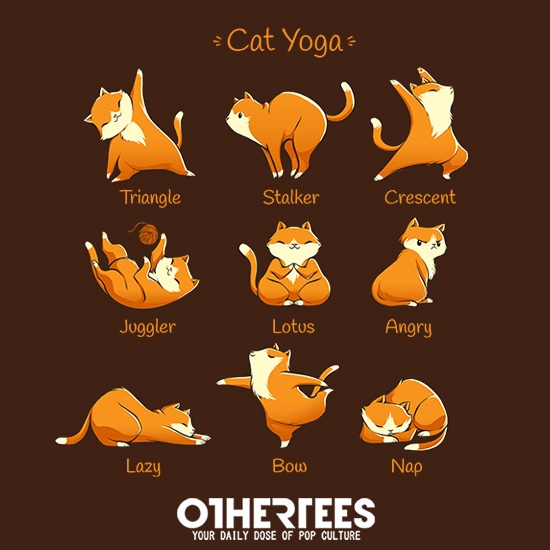 Cat Yoga