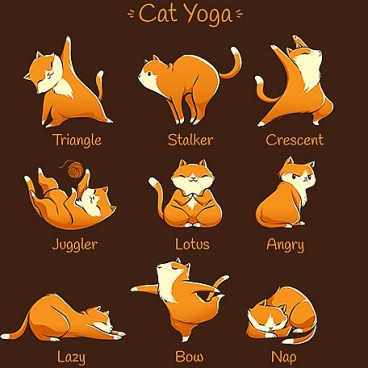 Cat Yoga