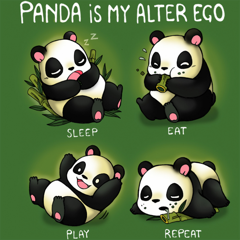 Panda is my alter ego