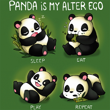Panda is my alter ego