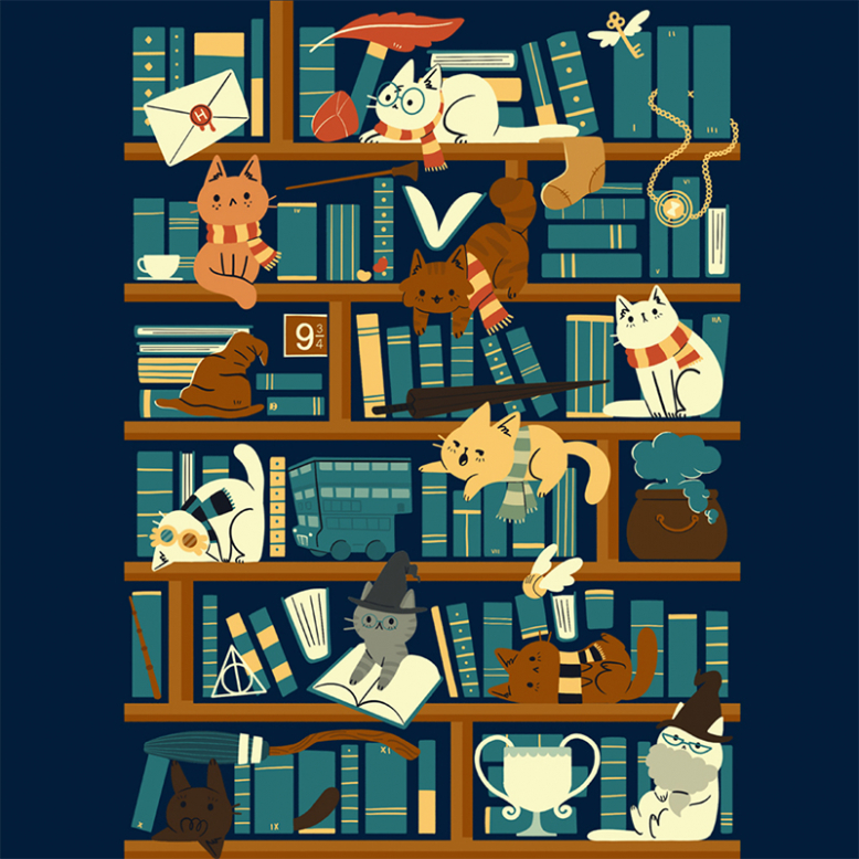 Library Magic School