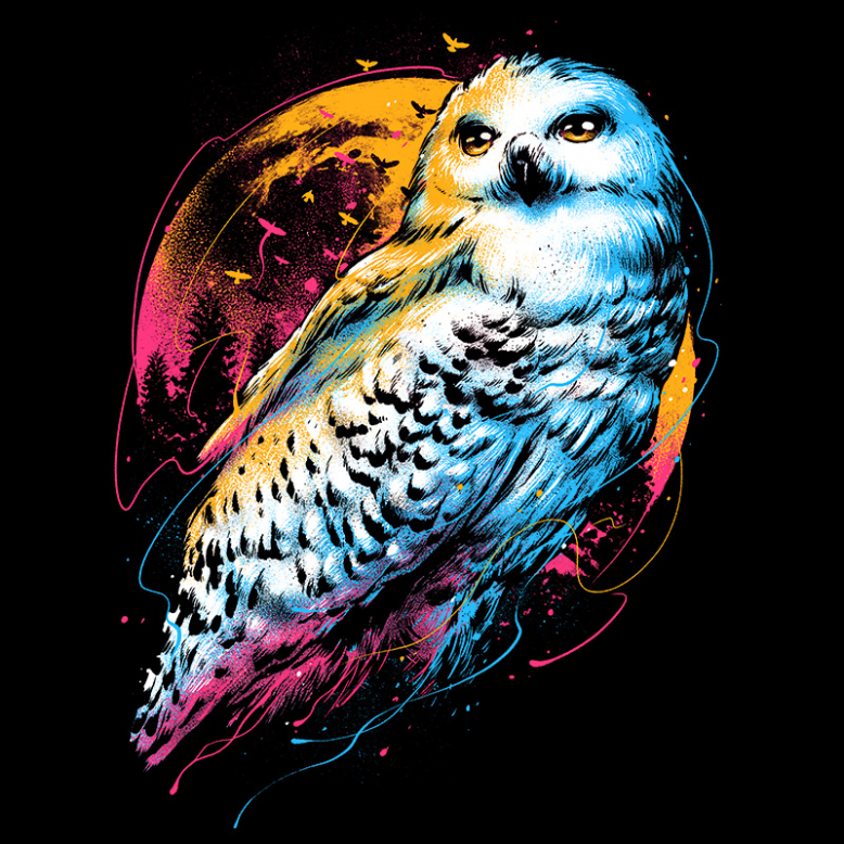 Colorful Owl