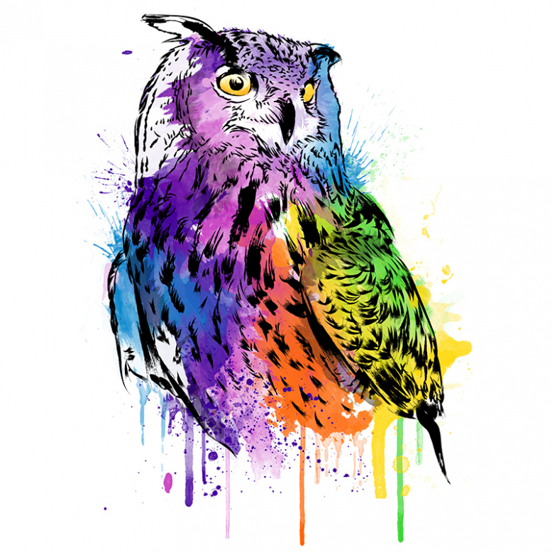 Owl Watercolor