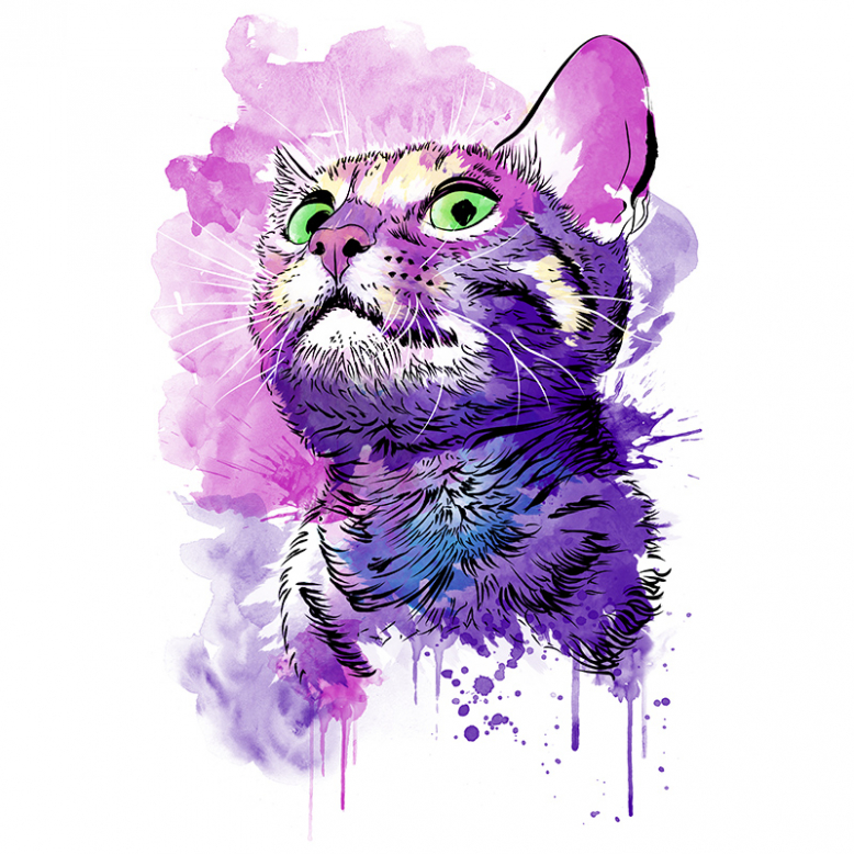 Cat Watercolor