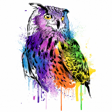 Owl Watercolor