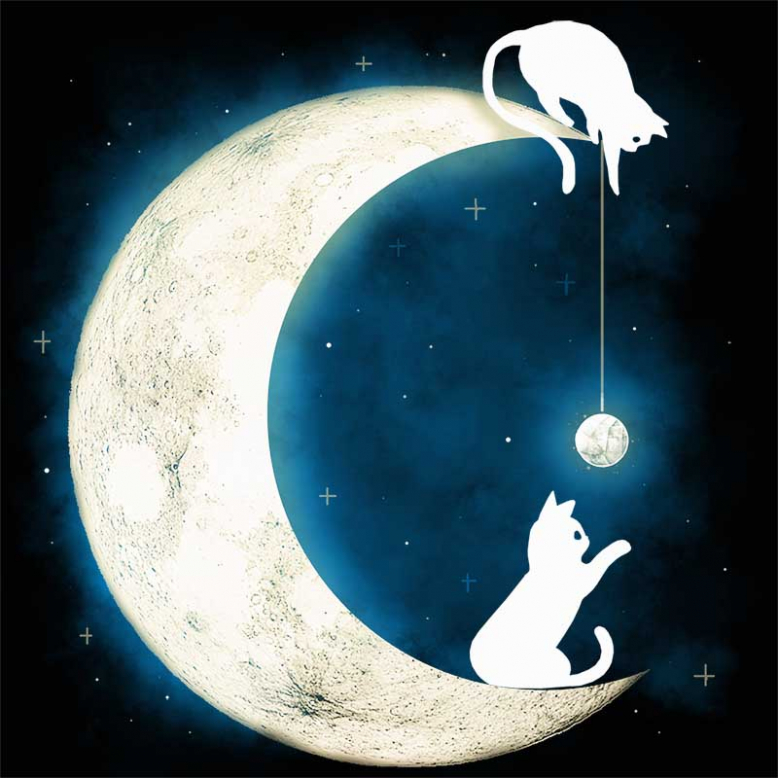 Moon Cat