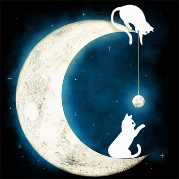 Moon Cat