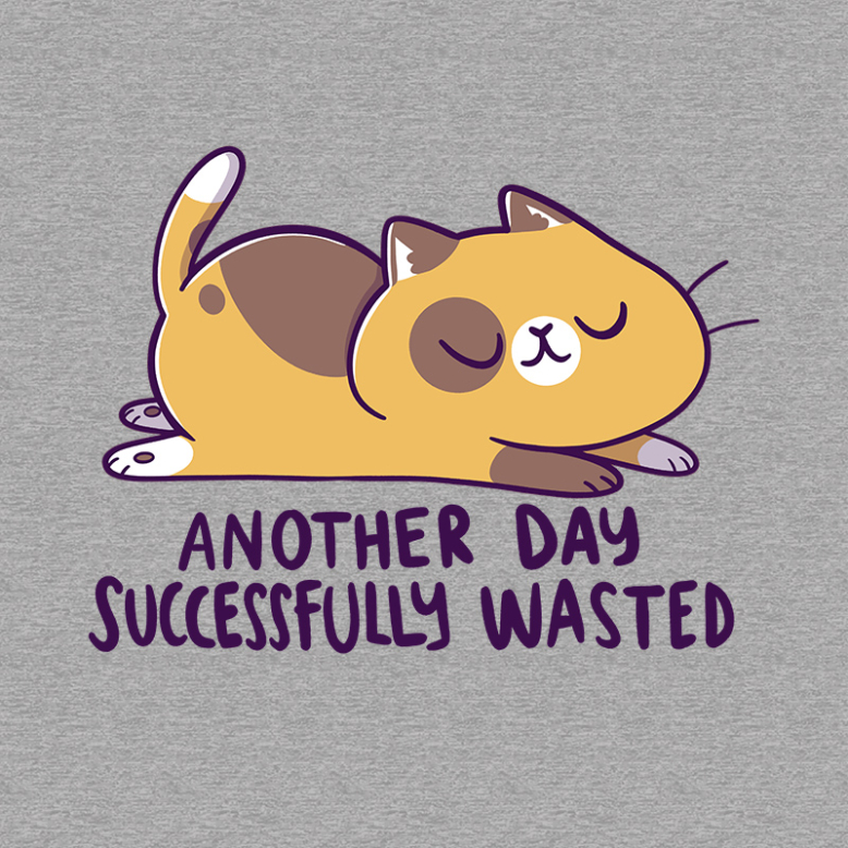Another Day Successfully Wasted