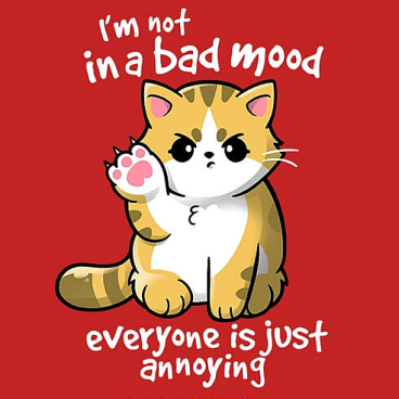 Bad Mood