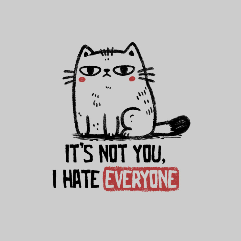 Its Not You I Hate Everyone