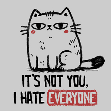 Its Not You I Hate Everyone
