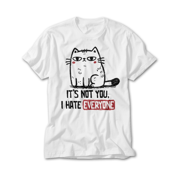 Its Not You I Hate Everyone