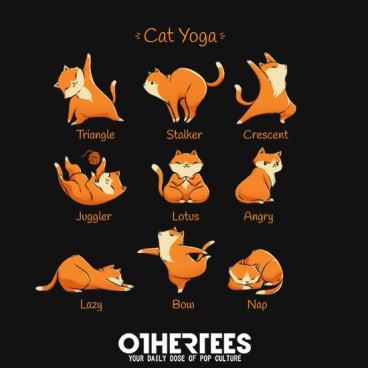 Cat Yoga