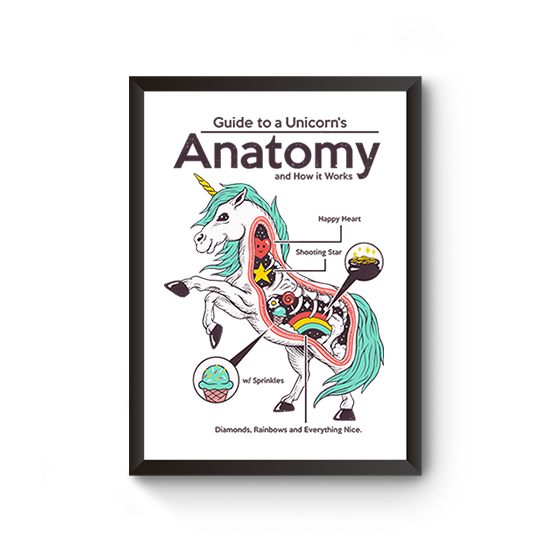 Anatomy of a Unicorn