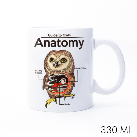 Anatomy of Owls