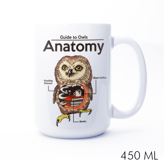 Anatomy of Owls