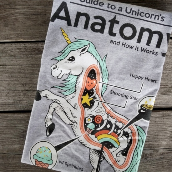 Anatomy of a Unicorn