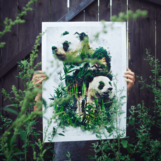 Plakat z panda wielką w otoczeniu zieleni.