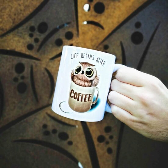 Owl Coffee