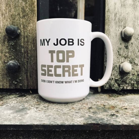 My Job is Top Secret