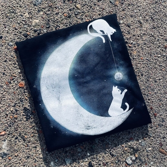 Moon Cat