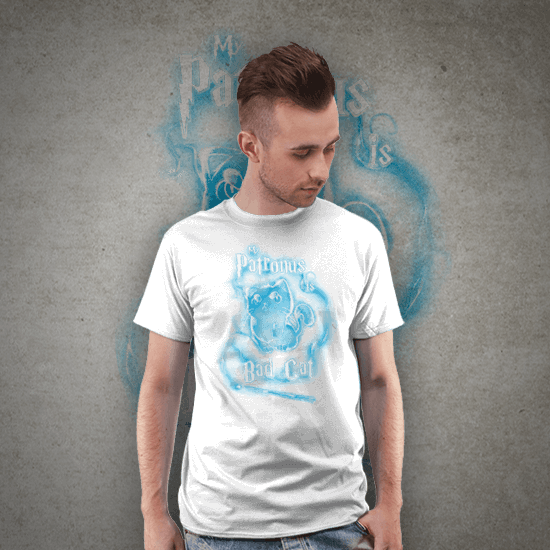 My Patronus is... Bad Cat