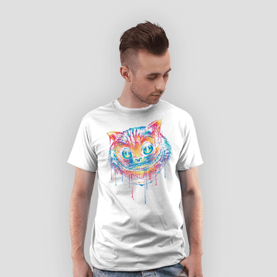 Colorful Cat