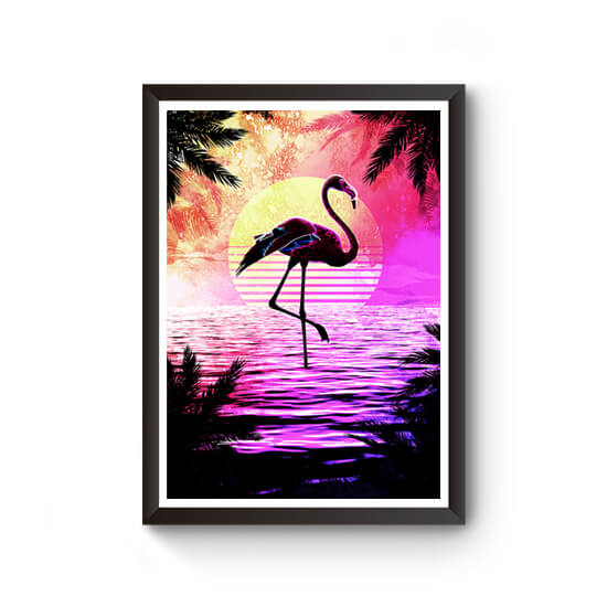 Soul of the Flamingo