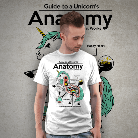 Anatomy of a Unicorn