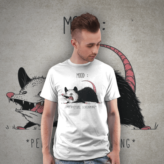 Mood Possum
