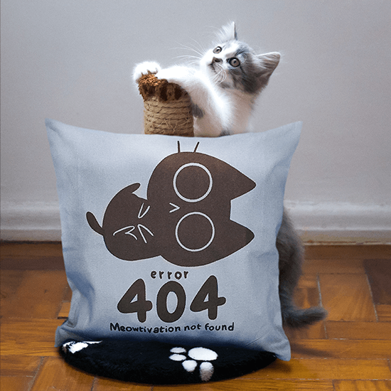Pillowcase error 404 cat without motivation.