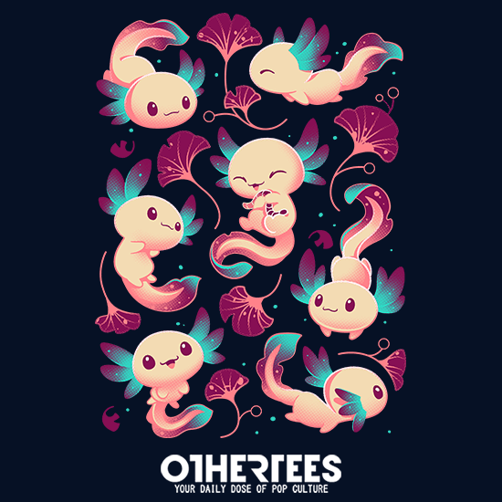 Axolotl Wonders