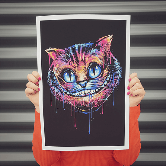 Colorful Cat