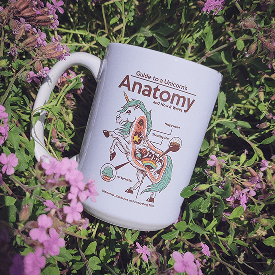 Anatomy of a Unicorn