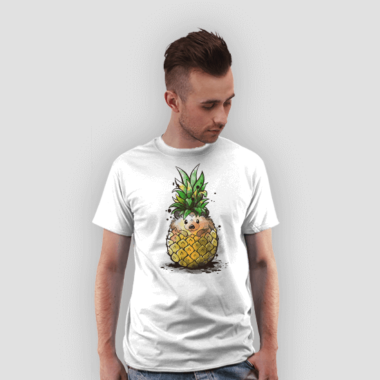 Pineapple hedgehog